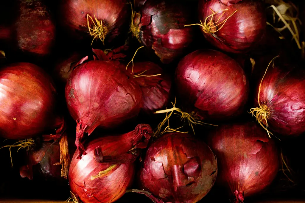 Red Onion (लाल प्याज) -500gr.