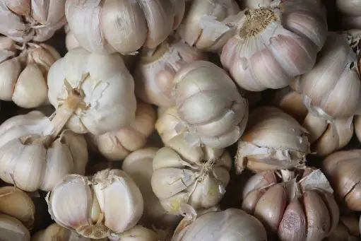 Garlic (लहसुन) -250gr.