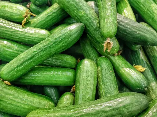 Cucumber (खीरा) -500gr.